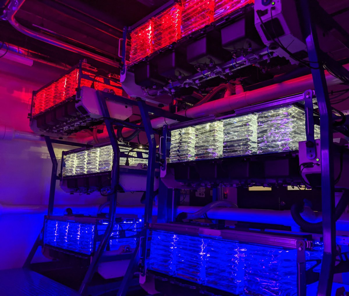 For over 20 years, we have been at the forefront of researching how to grow plants in space.

Our Astro Garden system is a large-scale vegetable production system that uses hydroponics to grow plants without soil and offers a sustainable means of producing fresh food fresh food