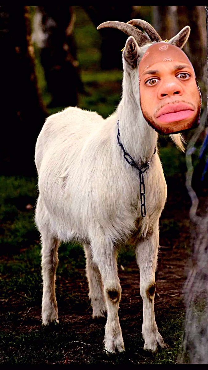 Biillygoat's tweet photo. WE ARRREE LIIIVEE!! 

https://t.co/NWcYhpboZA https://t.co/vJRKIiaQWM