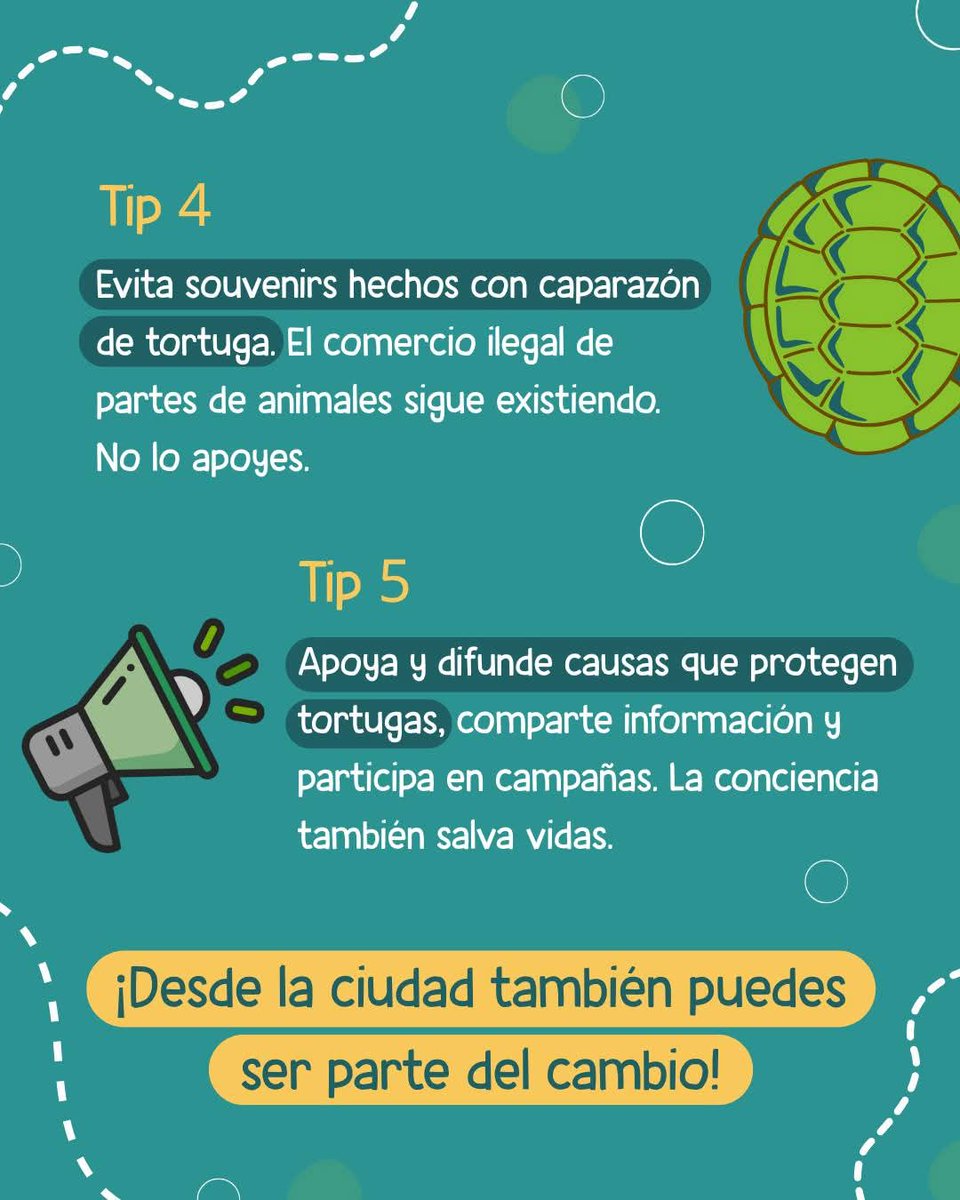 📣  Hoy más que nunca, el planeta🌎 nos necesita.
¿Sabías que desde la ciudad también puedes ayudar a salvar  #tortugasmarinas? 🐢🌊
Pequeñas acciones cotidianas pueden tener un gran impacto en nuestros océanos. 
“Nuestro Poder, Nuestro Planeta”   #EarthDay #DíaMundialDeLaTierra