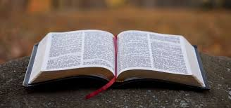 MarkGrote's tweet image. Some say a Bible verse’s original context limits its use today in your personal life. What say you? #interpretation