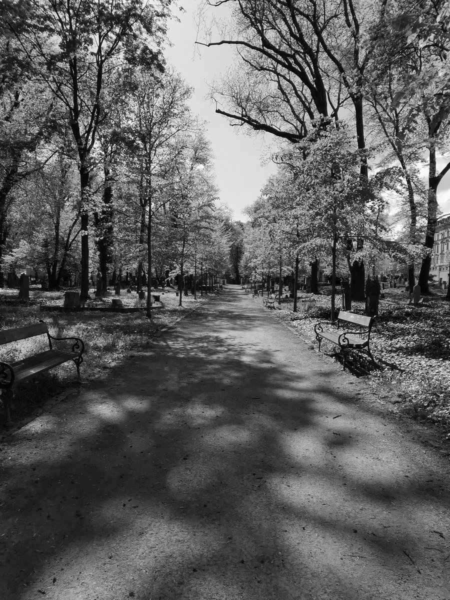 Realitydilna's tweet photo. Tak se rok s rokem sešel a já byl zase u účetní 🤗🤓 Kdo mě zná tak ví #gdetosu
#realitydílna #DP2024 #photography https://t.co/XrVsSmmIRh