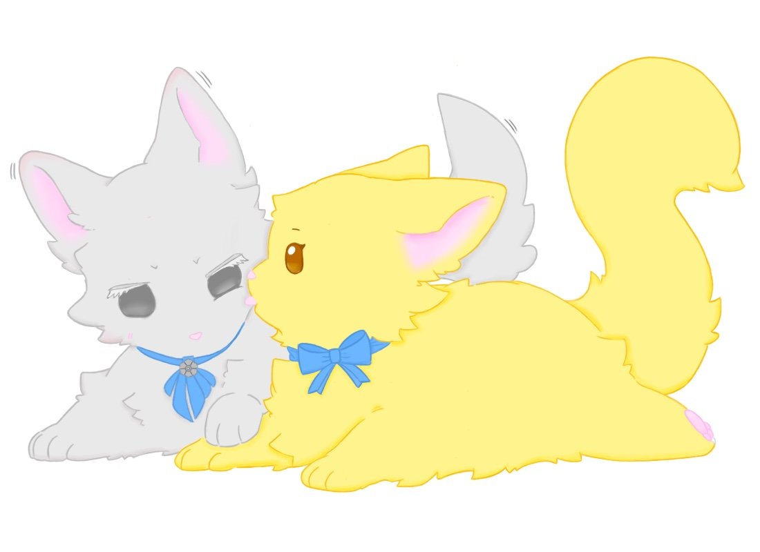 #fredealice
고양이 작곡기자!!