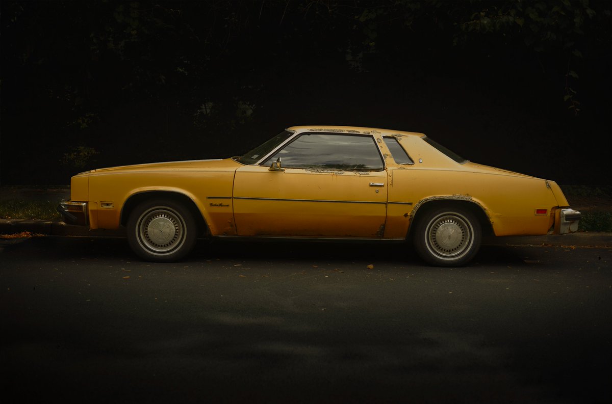 pointless gallery tweet media