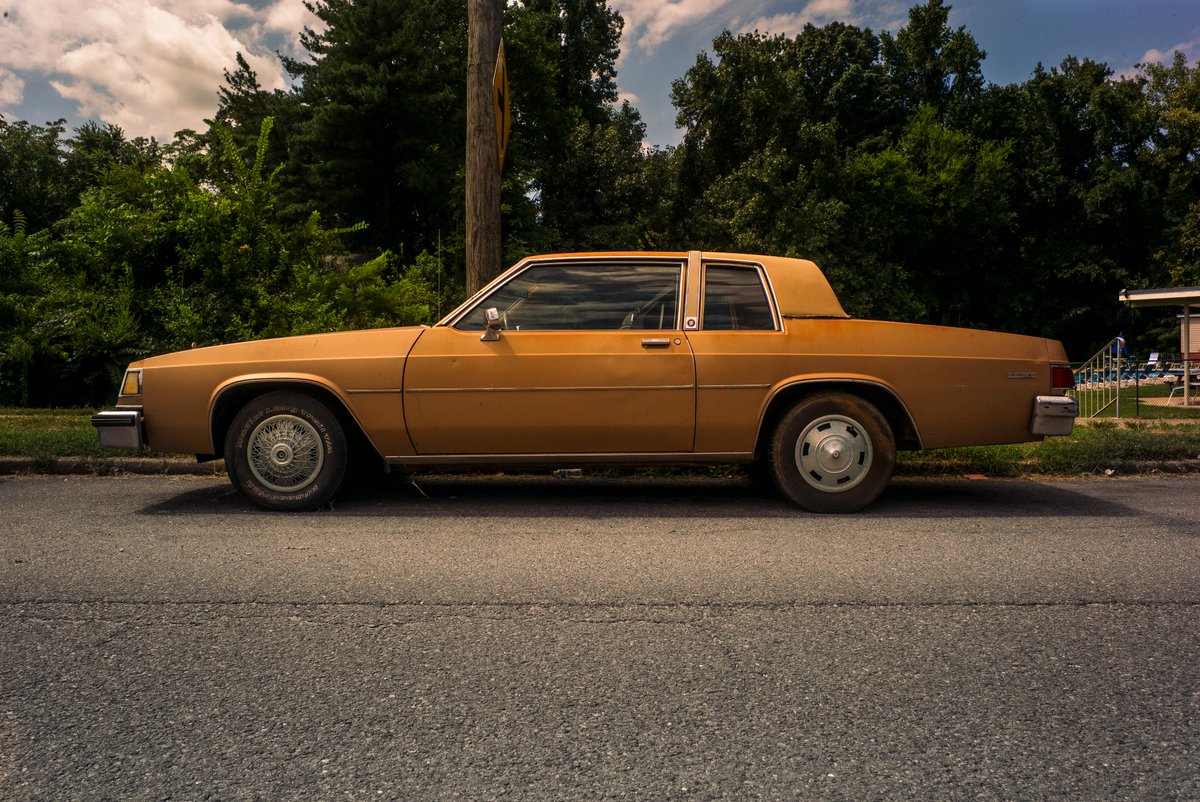 pointless gallery tweet media