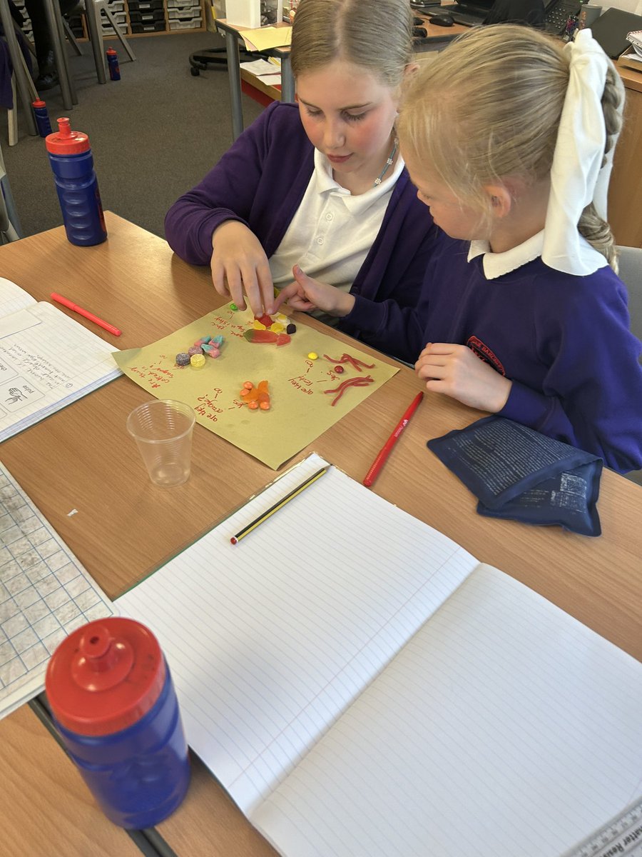 WBJYear6's tweet image. Identifying and classifying #wbjsscience @WBJJuniorSchool