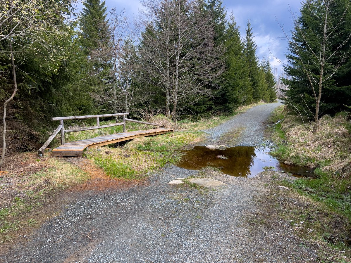 Kijk… Hier kunnen <a href="/staatsbosbeheer/">Staatsbosbeheer</a>, <a href="/bosw8erpatricia/">Patricia v. Lieshout🌱</a> en <a href="/PWNwaternatuur/">PWN</a> nog wat van leren… Simpele, mooie en duurzame #oplossing tegen natte voeten op de paden, hier in de Harz👍🏼.
#Schoorlseduinen #Natuur #Zee #PWN  #Harz #Mooi #Zon #Duinen