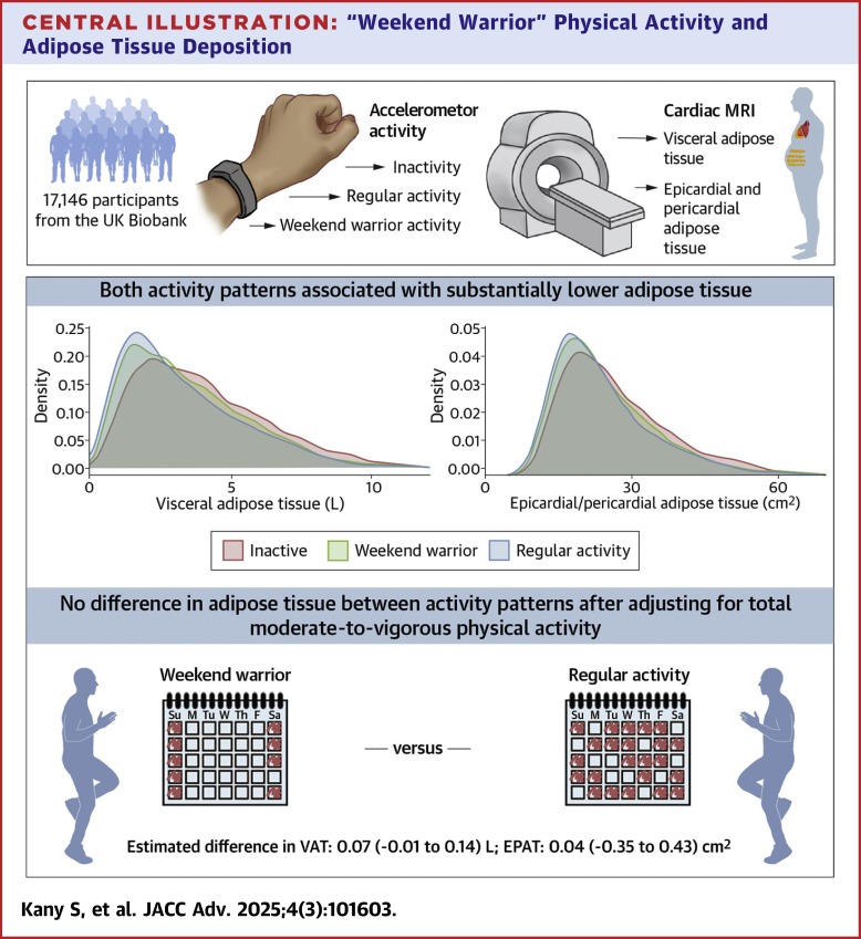 Weekend warriors vs. regular exercisers:
Both patterns of physical activity linked to lower visceral, epi and pericardial fat. No real difference if total activity is the same.
So yes — cramming it into the weekend still counts!
sciencedirect.com/science/articl…