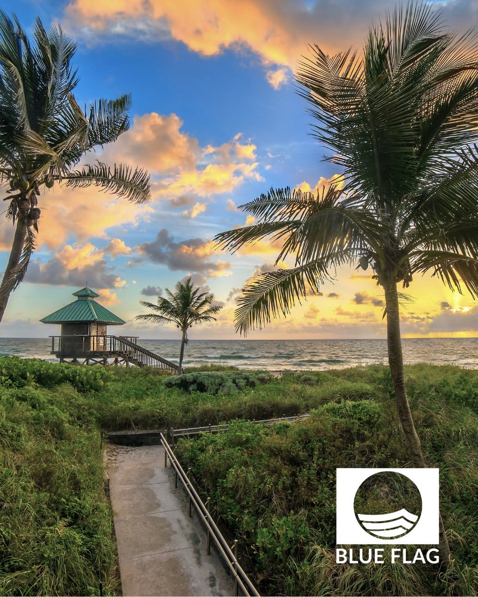 City of Boca Raton (@citybocaraton) on Twitter photo We are proud to join the <a href="/BlueFlagUSA/">BlueFlagUSA</a> community! Our beach at Spanish River Park, from Tower 18 to the southern boundary of the park, has been awarded the coveted international Blue Flag Beach Award for the upcoming season, May 1, 2025 through April 30, 2026.
Boca Raton’s beach We are proud to join the <a href="/BlueFlagUSA/">BlueFlagUSA</a> community! Our beach at Spanish River Park, from Tower 18 to the southern boundary of the park, has been awarded the coveted international Blue Flag Beach Award for the upcoming season, May 1, 2025 through April 30, 2026.
Boca Raton’s beach