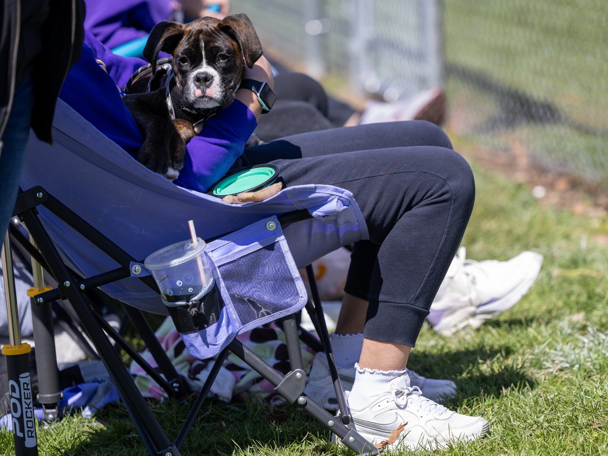 Knox Prairie Fire (@knoxprairiefire) on Twitter photo So, #ICYMI, <a href="/SoftballKnox/">Knox Softball</a> earned its first victory of 2025 with a 6-4 win in the first game of a twinbill yesterday! Read up on it on the Knox Athletics website!
bit.ly/4lLEayw So, #ICYMI, <a href="/SoftballKnox/">Knox Softball</a> earned its first victory of 2025 with a 6-4 win in the first game of a twinbill yesterday! Read up on it on the Knox Athletics website!
bit.ly/4lLEayw