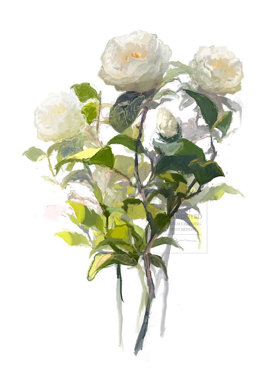 MRSpoipoi's tweet photo. sketch 🌼 https://t.co/xntt2vBnDa