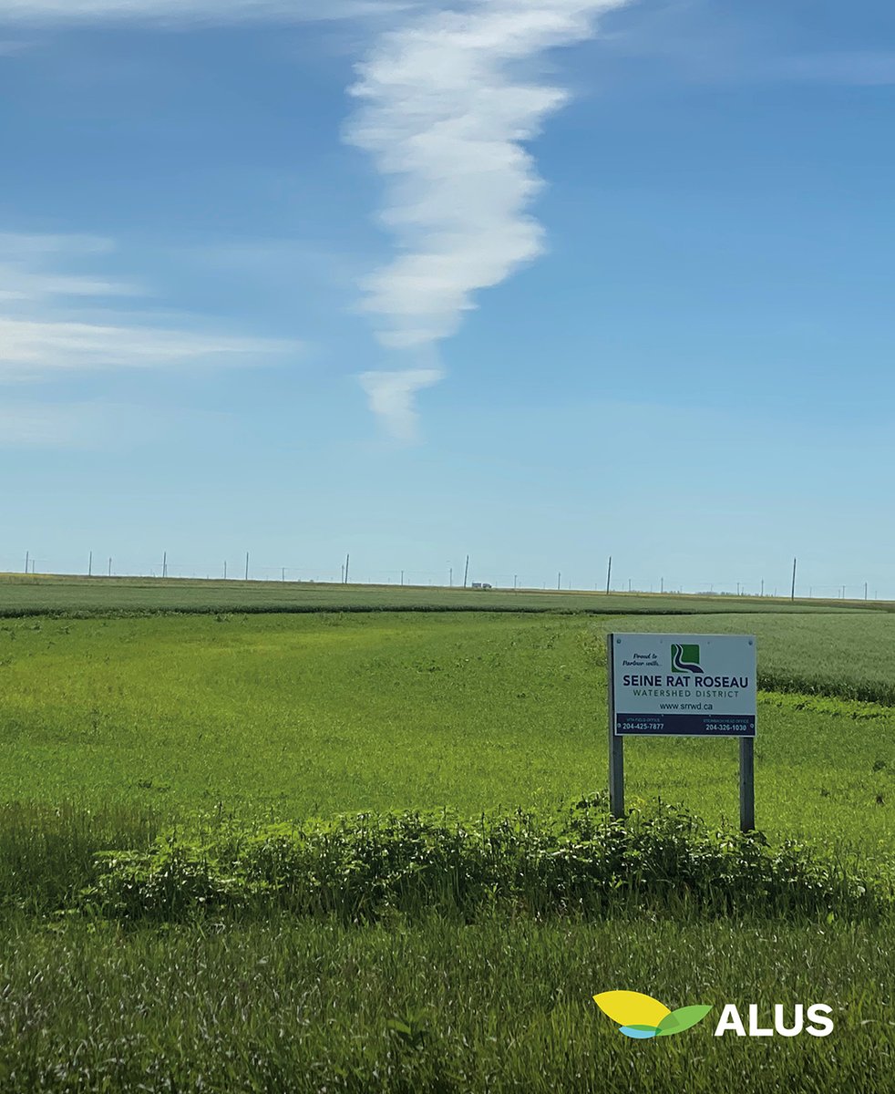 The Alternative Land Use Systems (ALUS) exemplifies the phrase "Farm the best, leave the rest." The programming aims to improve water quality by reducing nutrient runoff, reduce soil erosion, and providing carbon sequestration. srrwd.ca/funding/