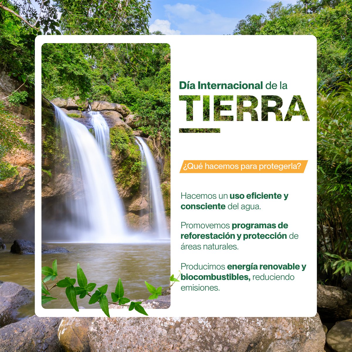 👉 En este Día Internacional de la Tierra, desde la agroindustria azucarera, reafirmamos nuestro compromiso con la protección y conservación de nuestro planeta. Entendemos la importancia crítica de mantener un ambiente sano y sostenible para las futuras generaciones.🌎