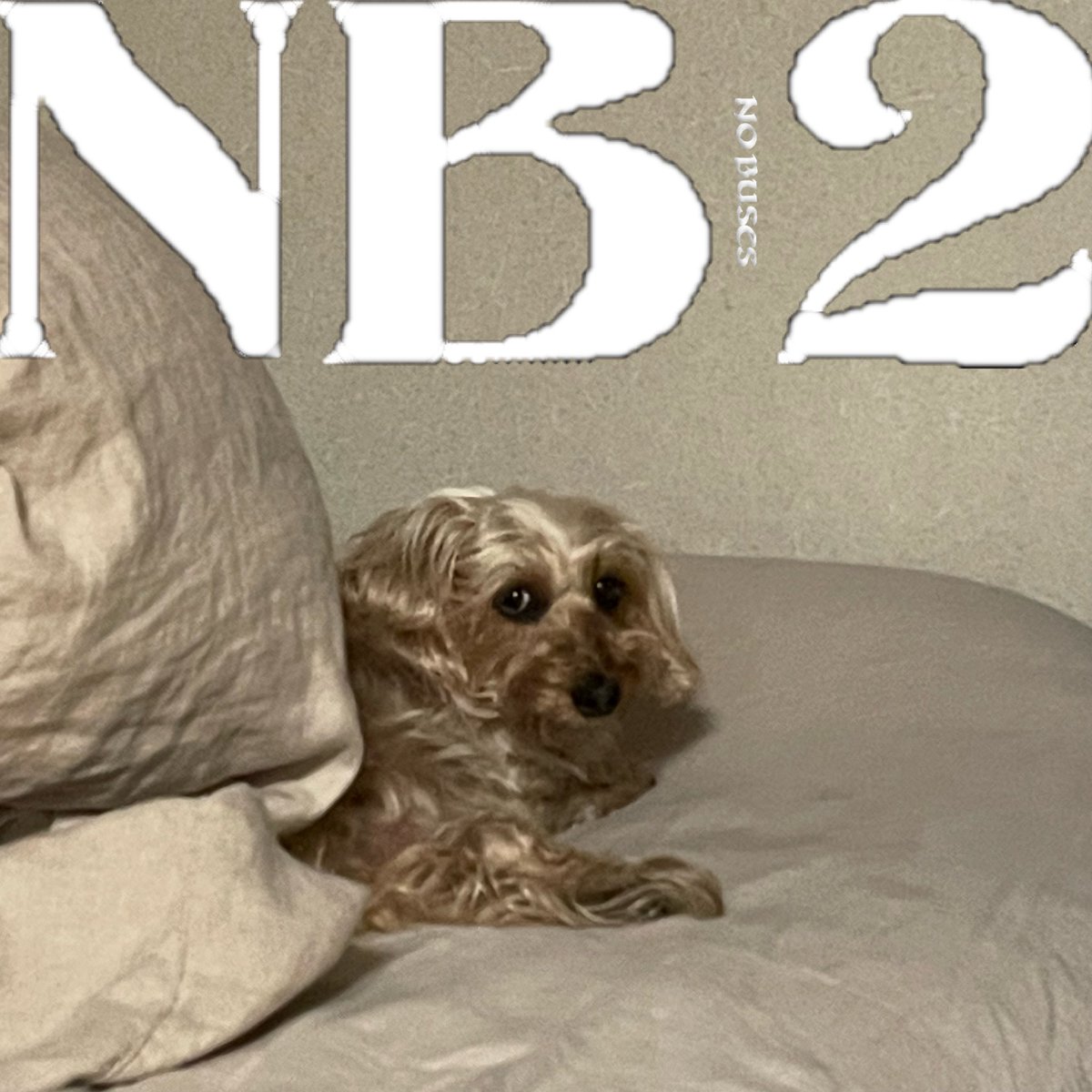 No Buses (@no_buses_band) / Posts / X