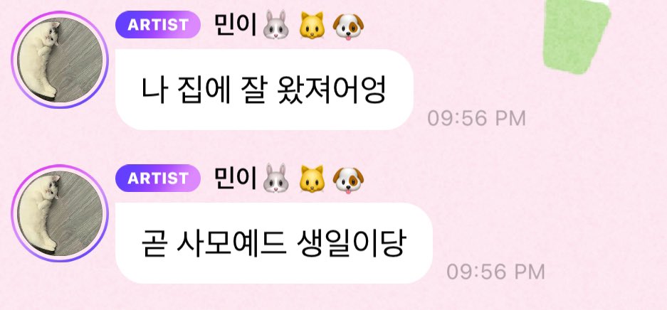 🐰 ผมถึงบ้านอย่างปลอดภัยแย้ววว
🐰 ใกล้จะวันเกิดซามอยด์และ

แจมินรายงาน อย่างรวดเร็วว 🥺🥺🥺
