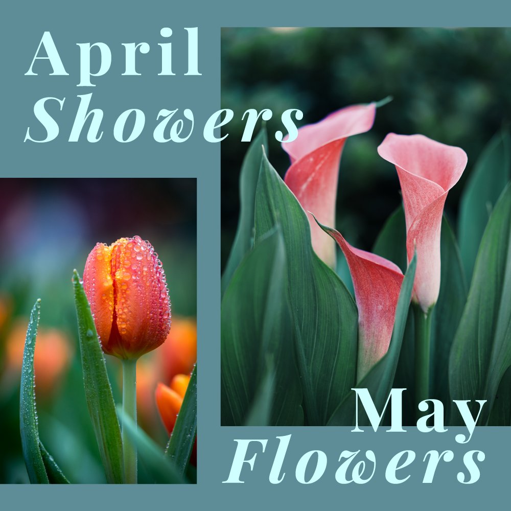 1/2 April showers bring May flowers. The flowers are beginning to bloom! What's your favorite flower to see in the springtime?
Will Roberts
Principal Broker - Lakeside Office
Wallace Real Estate
9420 Northshore Drive Suite 101
Knoxville, TN 37922
865-342-4200