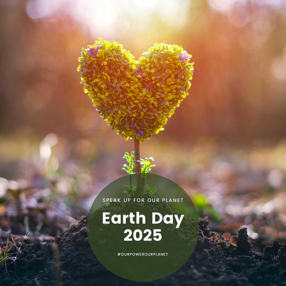 EPILEPSY NIAGARA tweet media