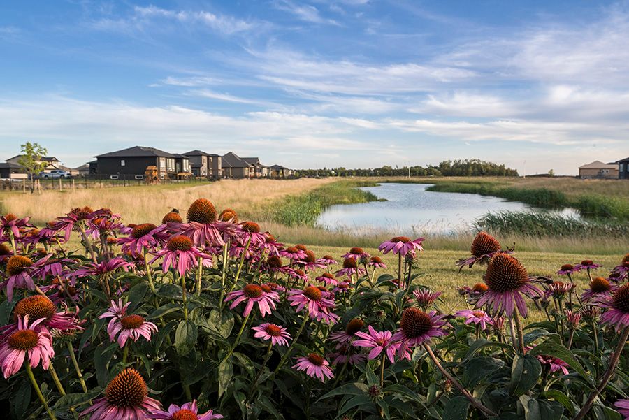 🌍 This #EarthDay, we’re highlighting the ways our #communities support sustainability &amp; connect to nature. From native plants to naturalized wetlands &amp; trail systems, discover how our design choices help protect the environment.

Read more: buff.ly/LBAXXmd