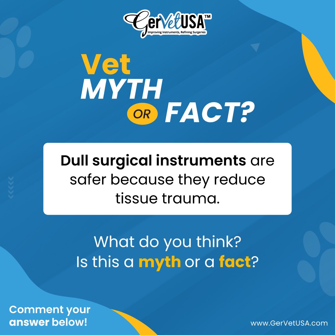 GerVetUSA's tweet image. Vet Myth or Fact?

“Dull surgical instruments are safer because they reduce tissue trauma.”

What’s your take—Myth or Fact? 

Drop your answer in the comments! 👇
Let’s see how many of you get it right! 🧠

#VetMythBusted #GerVetUSA #VeterinaryTools #SurgicalTools #VetInstruments