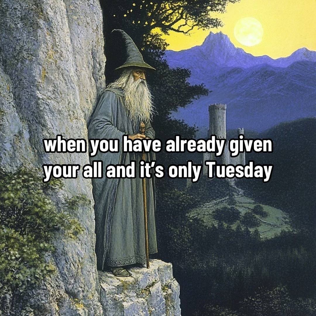 wizard 🪄 tweet media