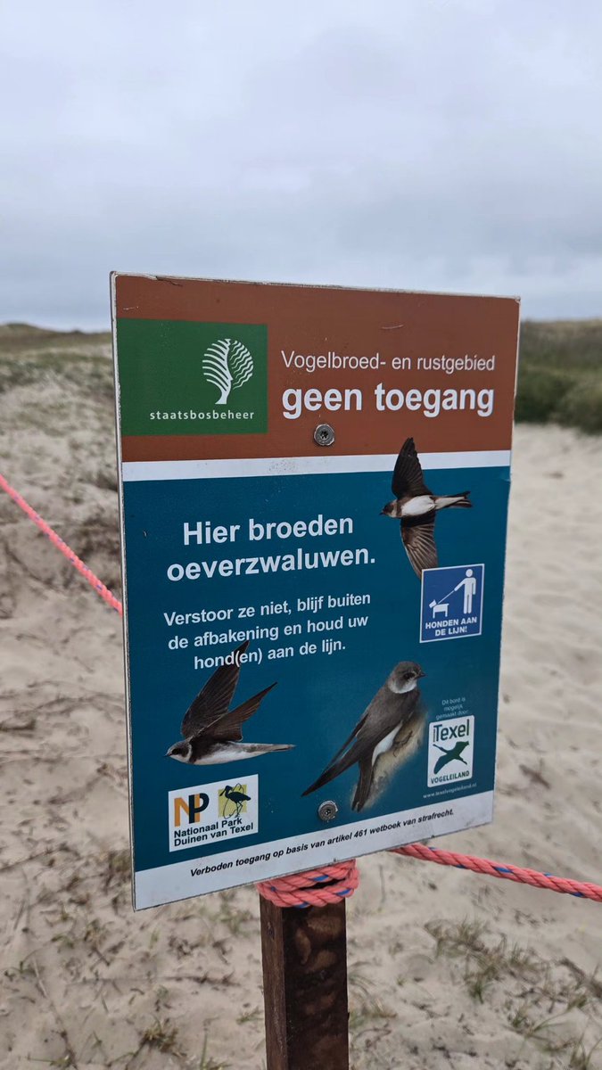 Boswachter Thomas tweet media