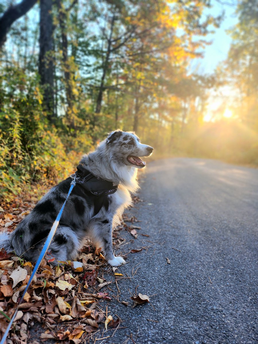 lotlinx's tweet photo. Please enjoy a sneak peek into our Slack channel 📸

All month long Linxers have been working together to celebrate a number of April holidays, including #EarthDay and #NationalPetDay.

Stay tuned to see which team racks up the most participation points... https://t.co/Up5PjzapLT