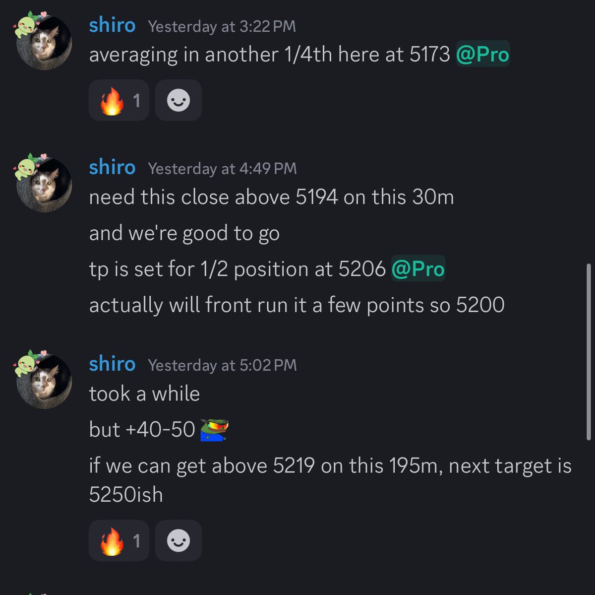 shiro 🦋 tweet media