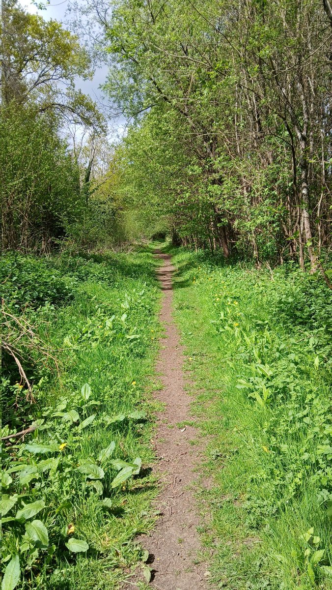 Stroll out from home to walk a path previously missed. Turned out to be rather lovely.