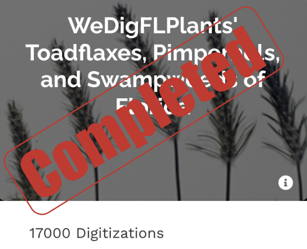 WeDigFLPlants tweet media