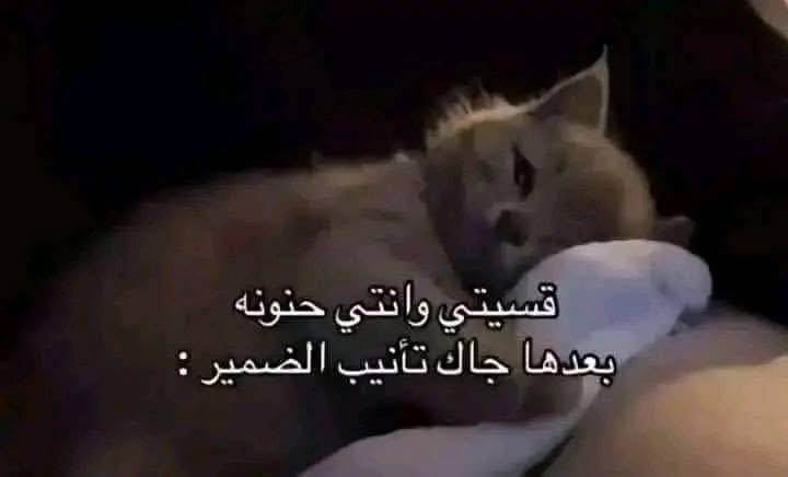 Egyptianmemees's tweet photo. https://t.co/TZfN7Kuv6i
