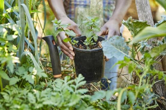 Haut-de-France : bientôt un nouvel éco quartier construit autour d'un parc pour favoriser biodiversité, gestion des eaux pluviales et rencontres entre habitants limportant.fr/infos-le-choix… <a href="/CM_Immo/">Crédit Mutuel Immobilier</a> #partenaire