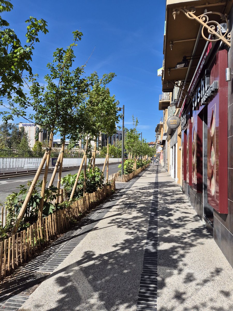 Nice2030_actu's tweet photo. 📸 Boulevard Risso, les tronçons de trottoir déjà requalifiés laissent une belle impression : c'est agréable, propre, bien fini, et la végétation à terme s'annonce dense 🌳👍🏽 #Nice06 #PP2 cc @cestrosi @AnneRamos06 @AlexandreC70810 https://t.co/RxAPz4XNPj