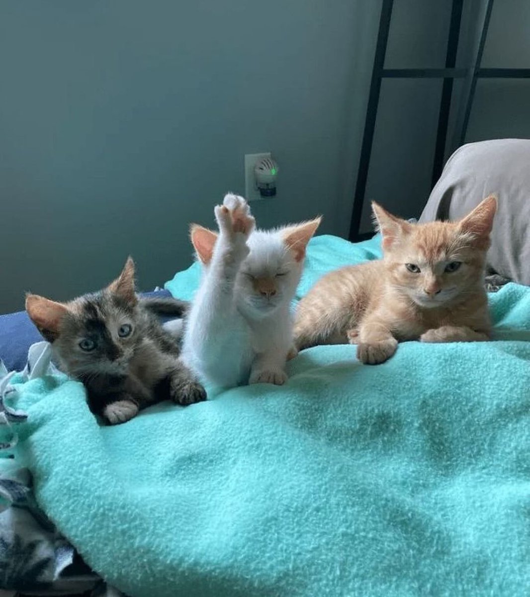 Present sir..😅😅