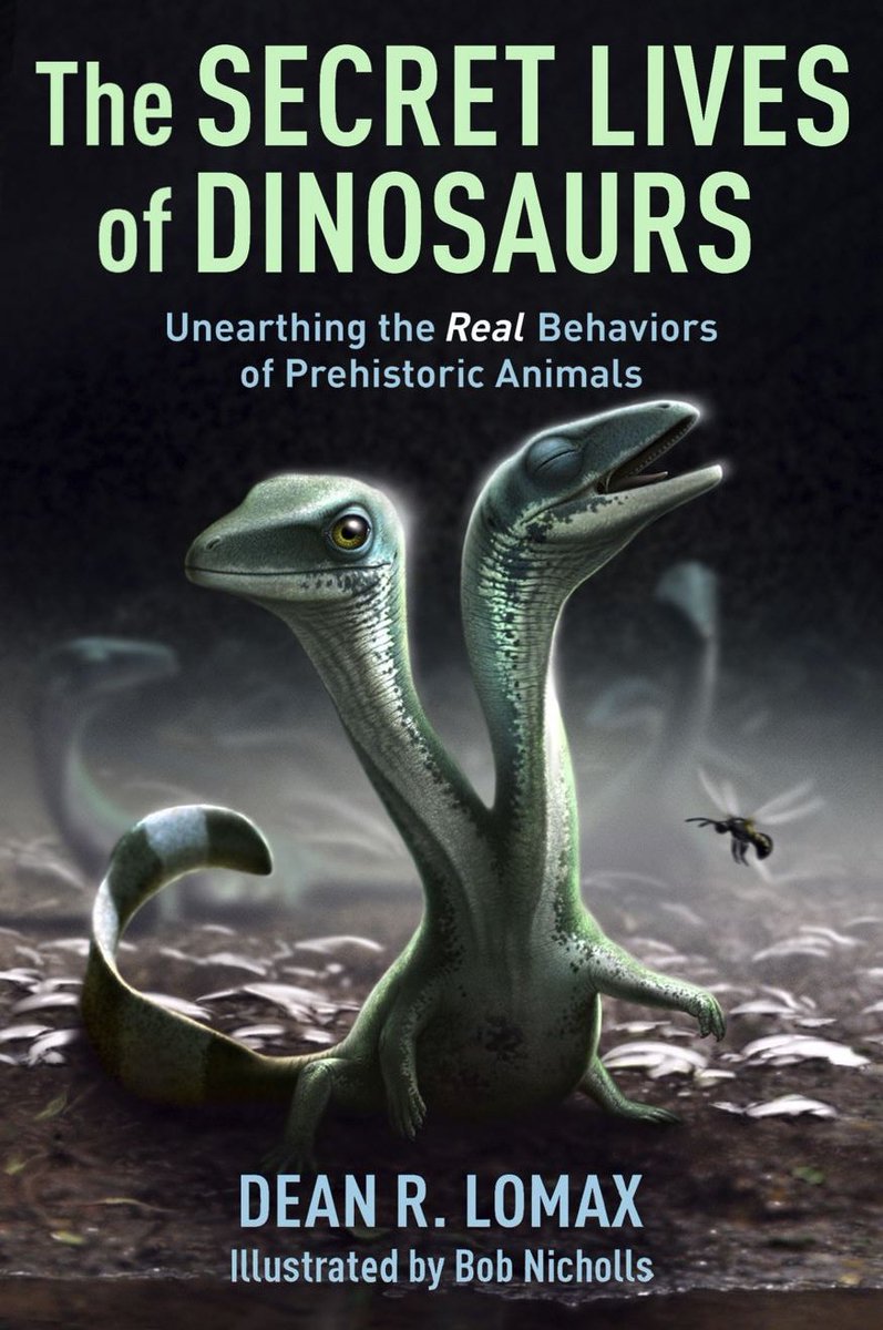 Dean_R_Lomax's tweet image. Enormously excited to reveal my new book, beautifully illustrated in FULL COLOUR by the brilliant @BobNichollsArt
Coming September 2025. Pre-order now! Published by @ColumbiaUP
More details from the publisher:
cup.columbia.edu/book/the-secre…