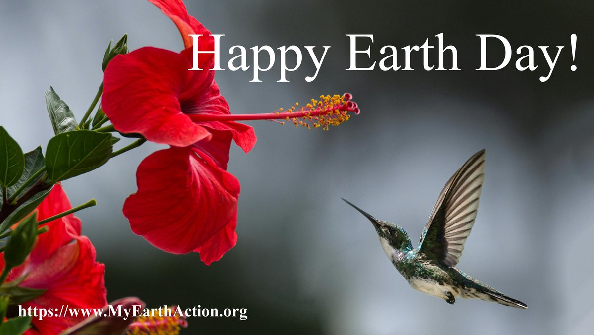 My Earth. My Action! 🌎 (@myearthmyaction) on Twitter photo 
