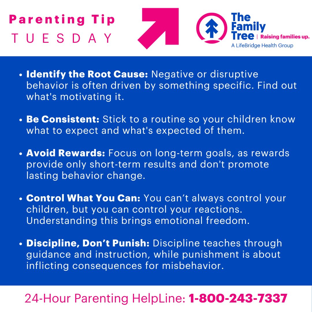 FamilyTreeMD's tweet image. Parenting is challenging, but these 5 tips can help you manage your child’s behavior more effectively. From staying consistent to focusing on long-term goals, these strategies promote positive discipline and emotional growth. 💡 #ParentingTips #EffectiveParenting #CAPM