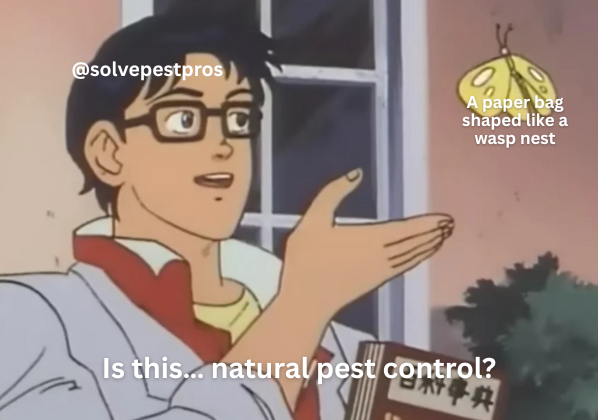 SolvePestPros's tweet photo. Ah yes, the ol’ brown bag trick—fooling exactly zero wasps since 2006. 🐝😂
Celebrate Earth Day the smart way: with pest control that doesn’t involve arts &amp; crafts.
🌎✨https://t.co/sf8eDNPd6A
#EarthDay #DIYDisaster #WaspsHaveWiFi #PestControlHumor #SolvePestPros https://t.co/KjHG35rEYY