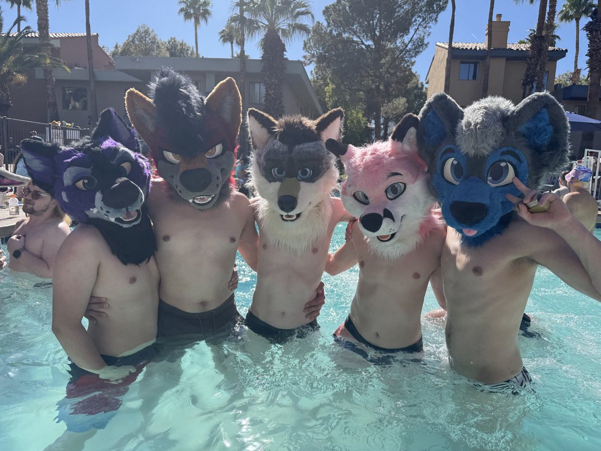 I miss the sun and these good doggos already 💛 #LVFC25 

<a href="/FurryPurpleAura/">Aura💜</a> 
<a href="/RoebuckCoyote/">Roebuck Coyote</a> 
<a href="/pjfoxes/">pjfoxes 🦊 🩷</a> 
<a href="/PupCazper/">Casper Doggo</a>