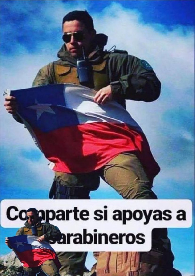 Tana Borsotto B. 🌷🐩🐕🐈🌺 tweet media