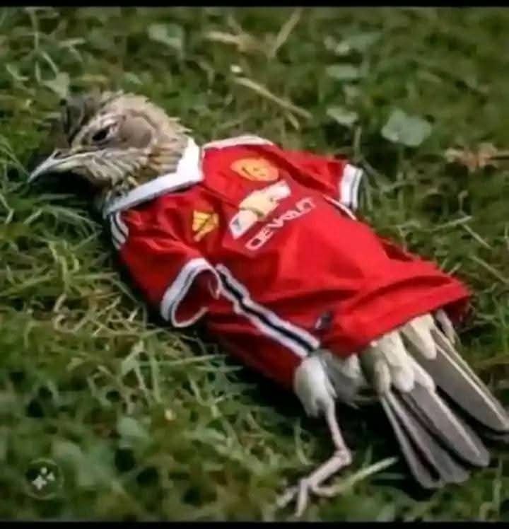 Mgombelo Alex (@mgombelo_) on Twitter photo Leo tunaobet makampuni ya Mrusi tumepatikana leo .
Kumamake ๐๐๐๐๐๐๐ค
#Legend <a href="/B3tPr0/">BetPro Tips</a> <a href="/Mabululu5/">MABULULU</a> <a href="/Watu_Mikeka/">Watu Mikeka</a> Leo tunaobet makampuni ya Mrusi tumepatikana leo .
Kumamake ๐๐๐๐๐๐๐ค
#Legend <a href="/B3tPr0/">BetPro Tips</a> <a href="/Mabululu5/">MABULULU</a> <a href="/Watu_Mikeka/">Watu Mikeka</a>