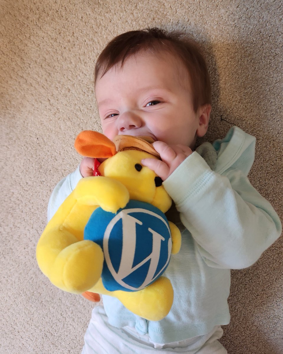 Michelle Schulp Hunt tweet media