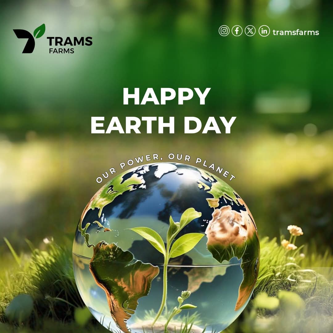 It's earth day. 

Let's save our planet by planting a crop or a tree😁