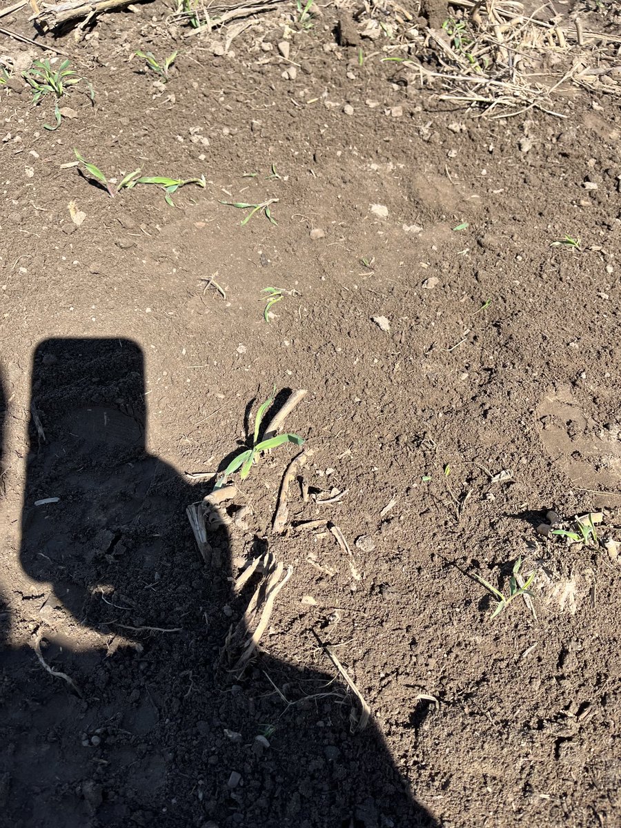 What your opinion ⁦@SeCanShannon⁩ is it too cold where you are cause my butt cheeks puckered here