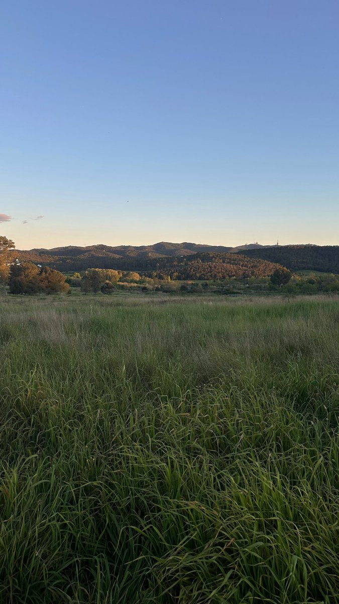 erinhyvin's tweet image. She creates, she nurtures, she holds space for all of us. 

She gives freely, without expectation—only that you remember her every once in a while.

Happy Earth Day.