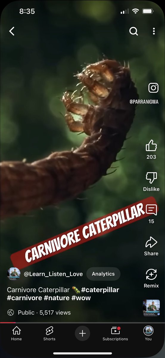 WhiteheadC58600's tweet photo. Carnivore Caterpillar 🐛#caterpillar #carnivore #nature #wow https://t.co/StQvsrrebW via @YouTube #caterpillar https://t.co/8iQmhrCV3d