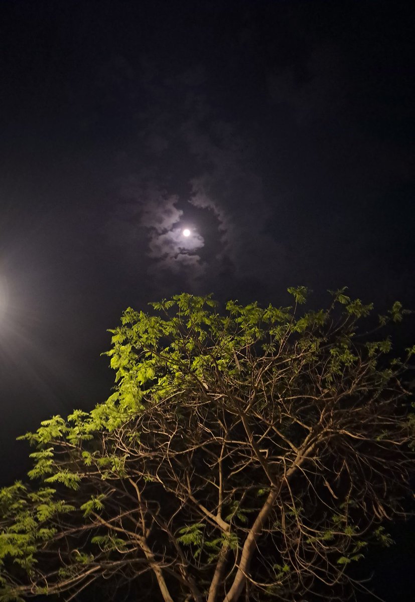 SubahChowdhury's tweet image. Bathed in silver light, the moon watches in silence as the world dreams🌙☘️🍂
#aesthetic #moon #moonlight #nature #NaturePhotography #naturelove #photography #foryou #fypシ #subahchowdhury
