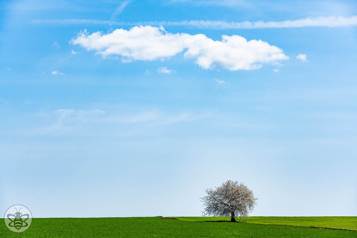 atomicbeecz's tweet photo. Velikonoce / Easter #Easter #landscape #spring #colors #CzechRepublic #Czechia #CzechScape #CzechLandscape #landscapephotography #photo #photography #nature #naturephotography https://t.co/2hlEAS7kvd