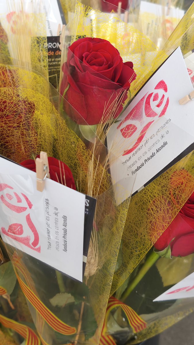 🌹✨ Celebra #SantJordi2025 amb Atendis! Demà, passa per la parada nº48 a la Rambla de Sabadell per roses úniques i llibres especials! De 9h a 20h. 📚💖 Fes una foto i etiqueta'ns amb #SantJordi2025! No t'ho perdis! 🌟 #FundacióAtendis #Sabadell