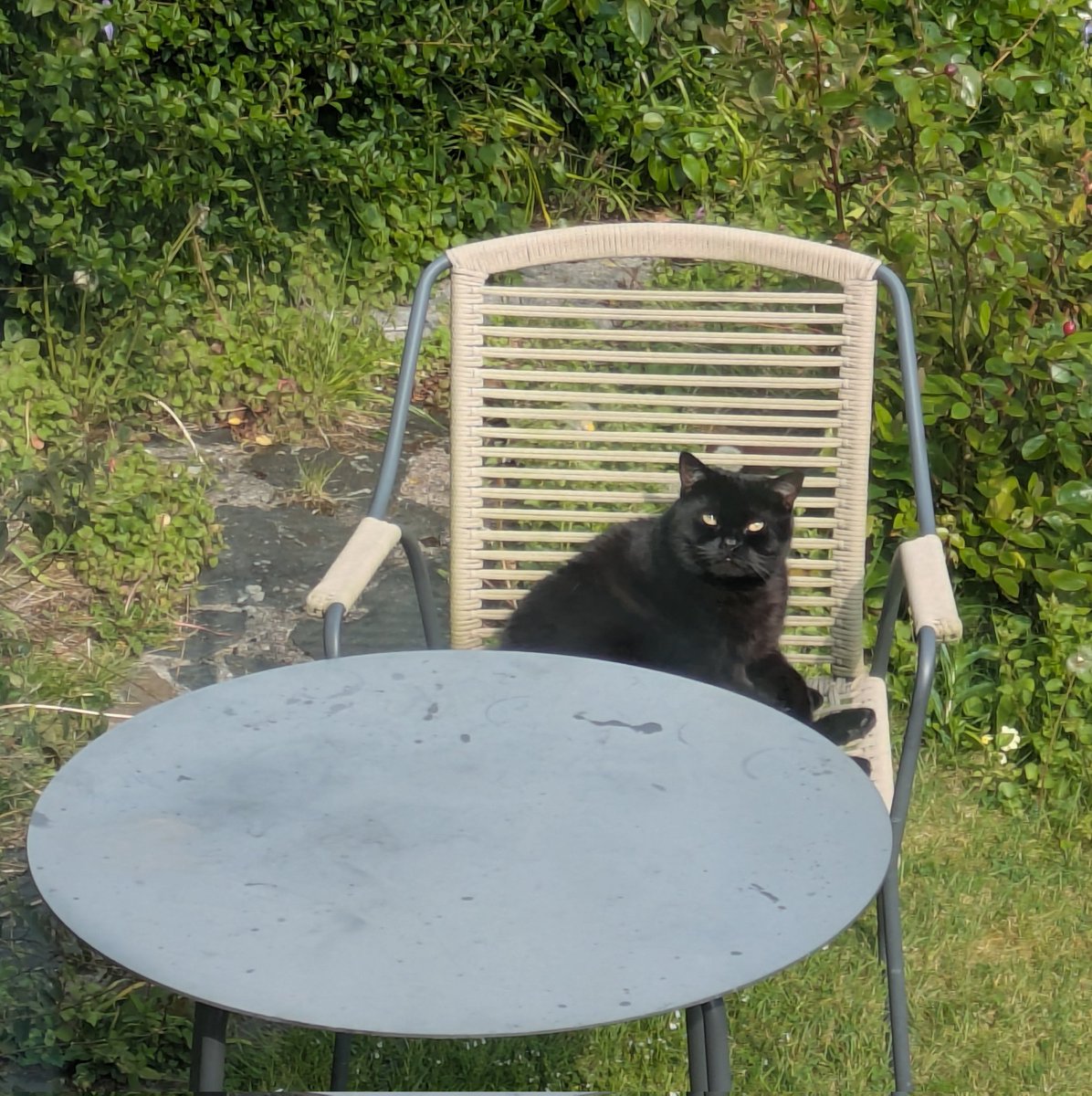 Chilling in the garden