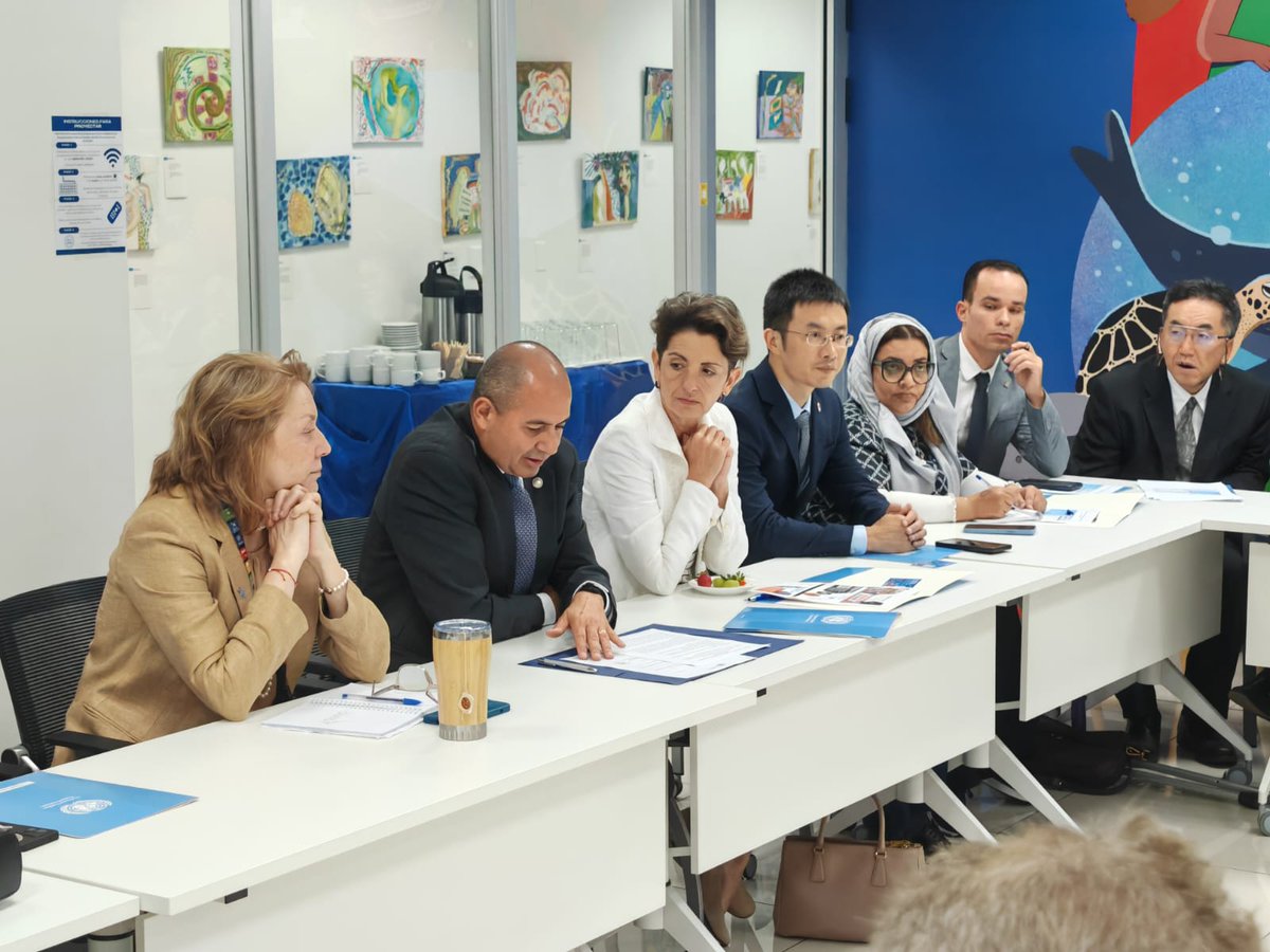 Naciones Unidas Costa Rica (@uncostarica) on Twitter photo 🇺🇳🤝🇨🇷 Junto a <a href="/CRcancilleria/">Cancillería Costa Rica 🇨🇷</a> presentamos el Informe ONU 2024 al Cuerpo Diplomático:
✅ 1.9 millones de personas beneficiadas en 98% del territorio 🇨🇷
✅ ₡30 mil millones invertidos.
🔗 Descubra cómo mejoramos vidas y construimos futuros más prósperos: bit.ly/4j3CqyA 🇺🇳🤝🇨🇷 Junto a <a href="/CRcancilleria/">Cancillería Costa Rica 🇨🇷</a> presentamos el Informe ONU 2024 al Cuerpo Diplomático:
✅ 1.9 millones de personas beneficiadas en 98% del territorio 🇨🇷
✅ ₡30 mil millones invertidos.
🔗 Descubra cómo mejoramos vidas y construimos futuros más prósperos: bit.ly/4j3CqyA