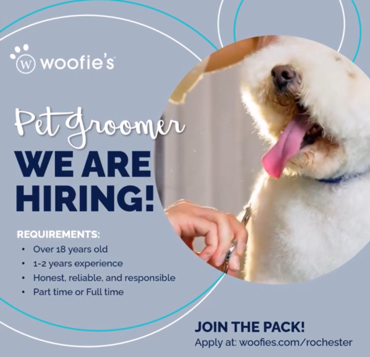 CanaltownP's tweet photo. Our member Jessica from @woofiesrochester is hiring!

Check out the online application!

#woofiesofrochester #pets #dogs #petgroomer #roc #rochesterny #canaltownconnectionspenfield #rocliving #roctownlive #roclive https://t.co/4vYwQ0KOT4